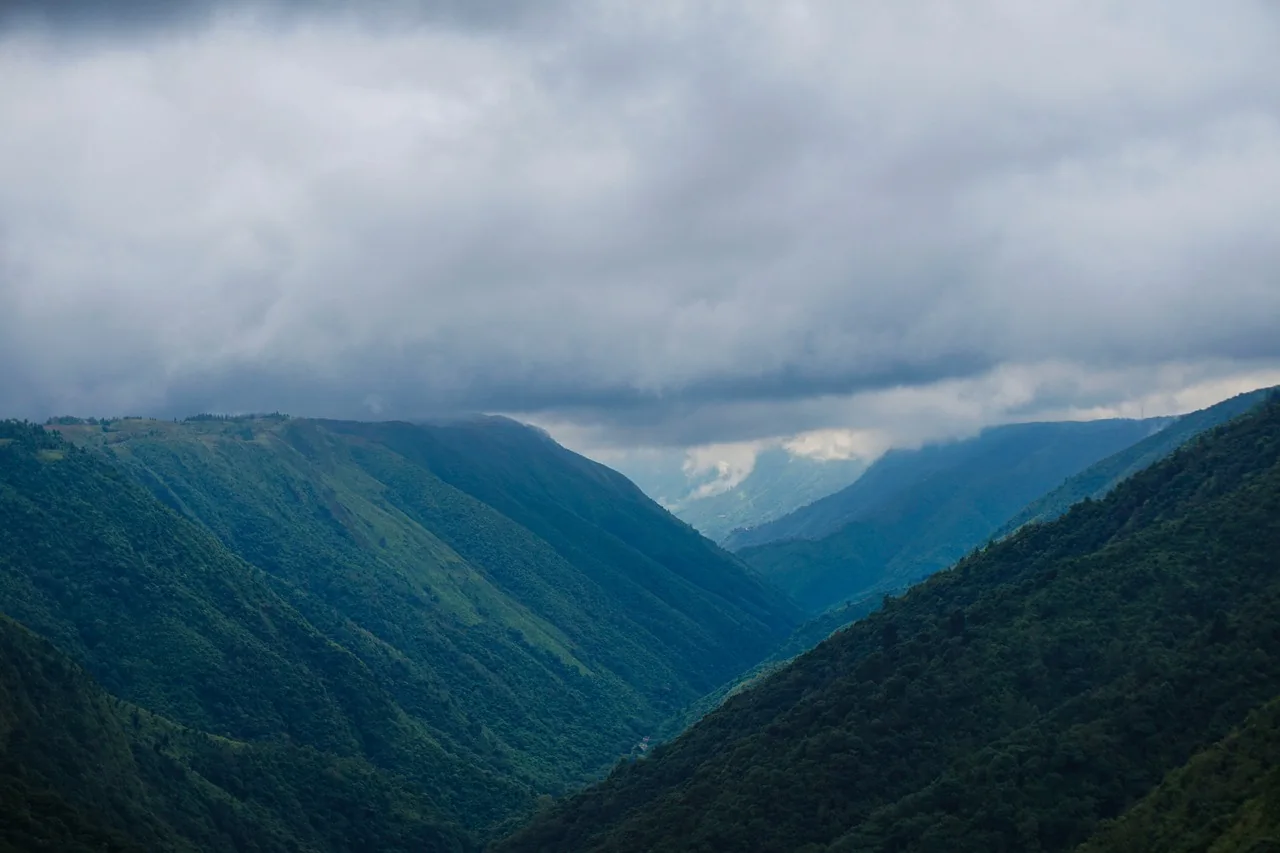 Misty valleys and forested hills in Meghalaya