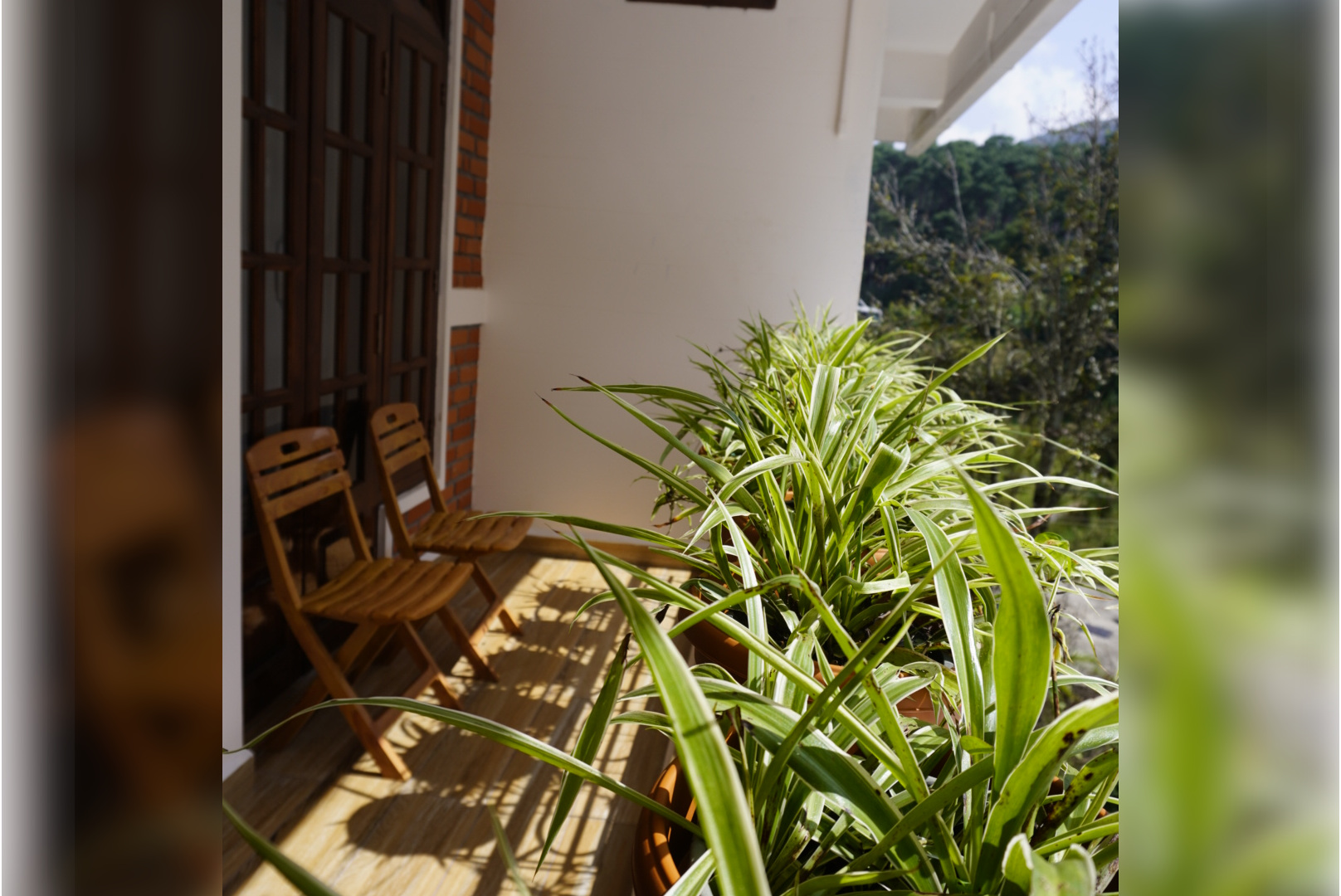 dorsen homestay balcony